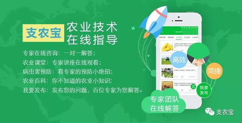 农业技术推广与软件开发 一场数字时代的持久战