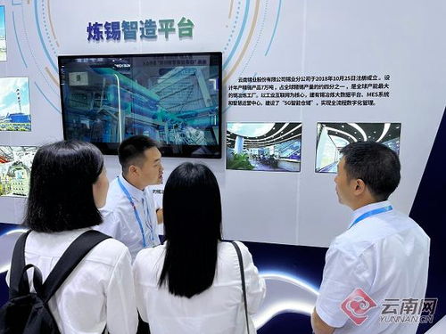 数智引擎驱动 智慧工厂赋能 云南锡业以软件开发引领创新高效发展